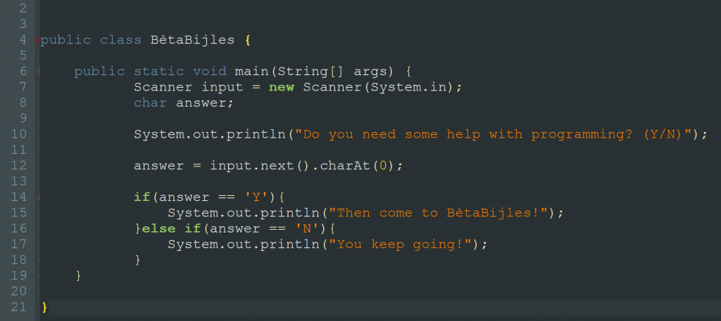 Bijles programmeren: Java, C++, PHP en meer